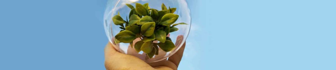 sustentabilidade empresarial