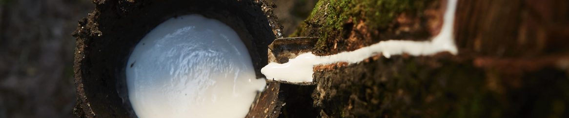 polímeros naturales